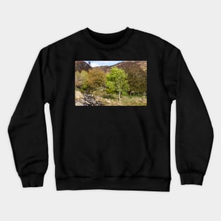 Raise Gill, Watendlath Crewneck Sweatshirt